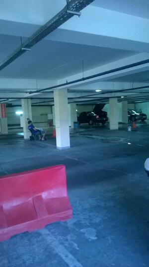 WP_20160730_001.jpg