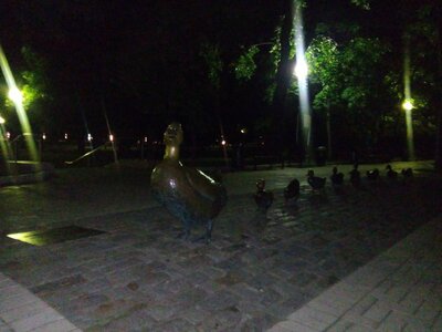 tmp_5747-20160801_004523-178927064.jpg