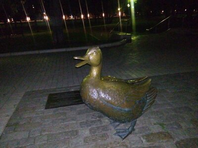 tmp_5747-20160801_0045351699743319.jpg