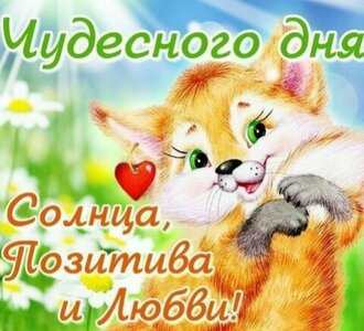 IMG_20160826_104908.jpg
