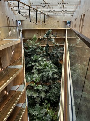 IMG_6160.jpeg