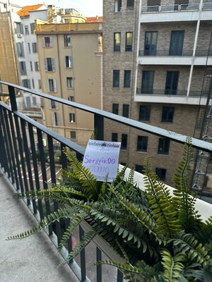 IMG_7435.jpeg