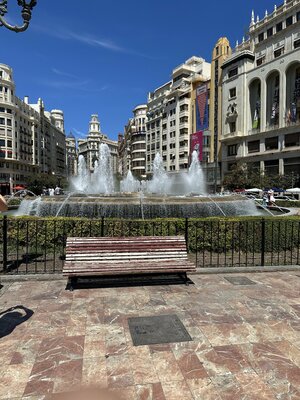 IMG_1336.jpeg