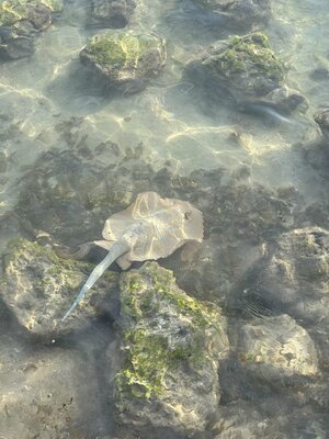 IMG_7697.jpeg