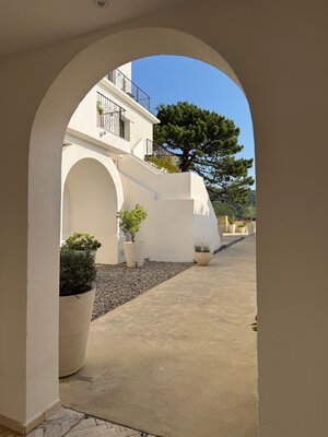IMG_2170.jpeg