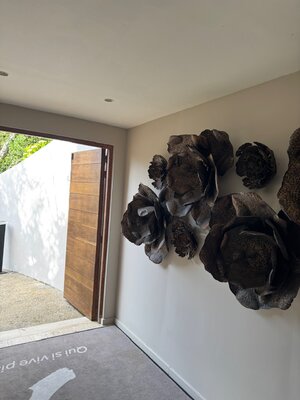 IMG_1019.jpeg