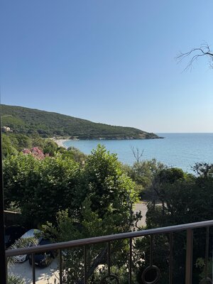 IMG_2203.jpeg