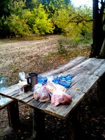 IMG_20161009_104817.jpg