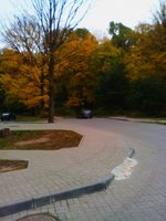 IMG_20161015_204835.jpg