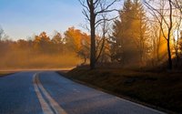 PhotosnatureAlbum_420017.jpg