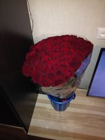 image.jpeg