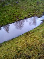 IMG_20161225_124204.jpg