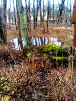 IMG_20161225_124146.jpg