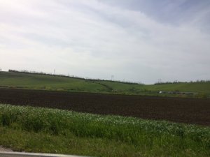 IMG_1127.JPG