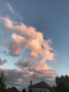 IMG_1123.JPG