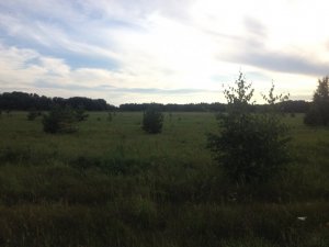 image (2).jpeg
