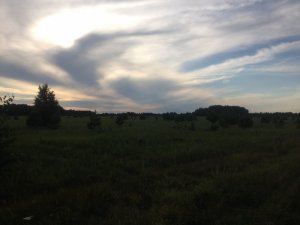 image (3).jpeg