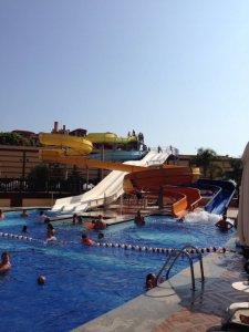 IMG_0584.JPG
