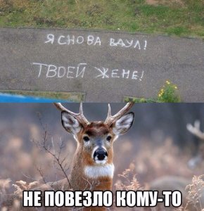 image.jpeg