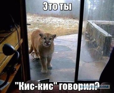 7488025.jpg