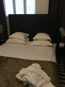 IMG_2146.JPG