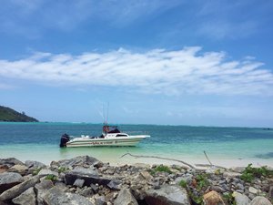 IMG_20191013_121420.jpg