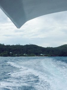 IMG_20191013_121256.jpg