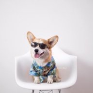 Best_Scans_On_The_Market